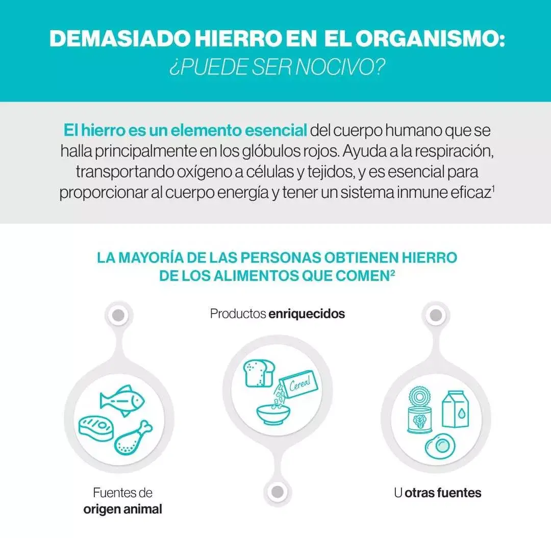 Infografía 'Demasiado hierro en el organismo'