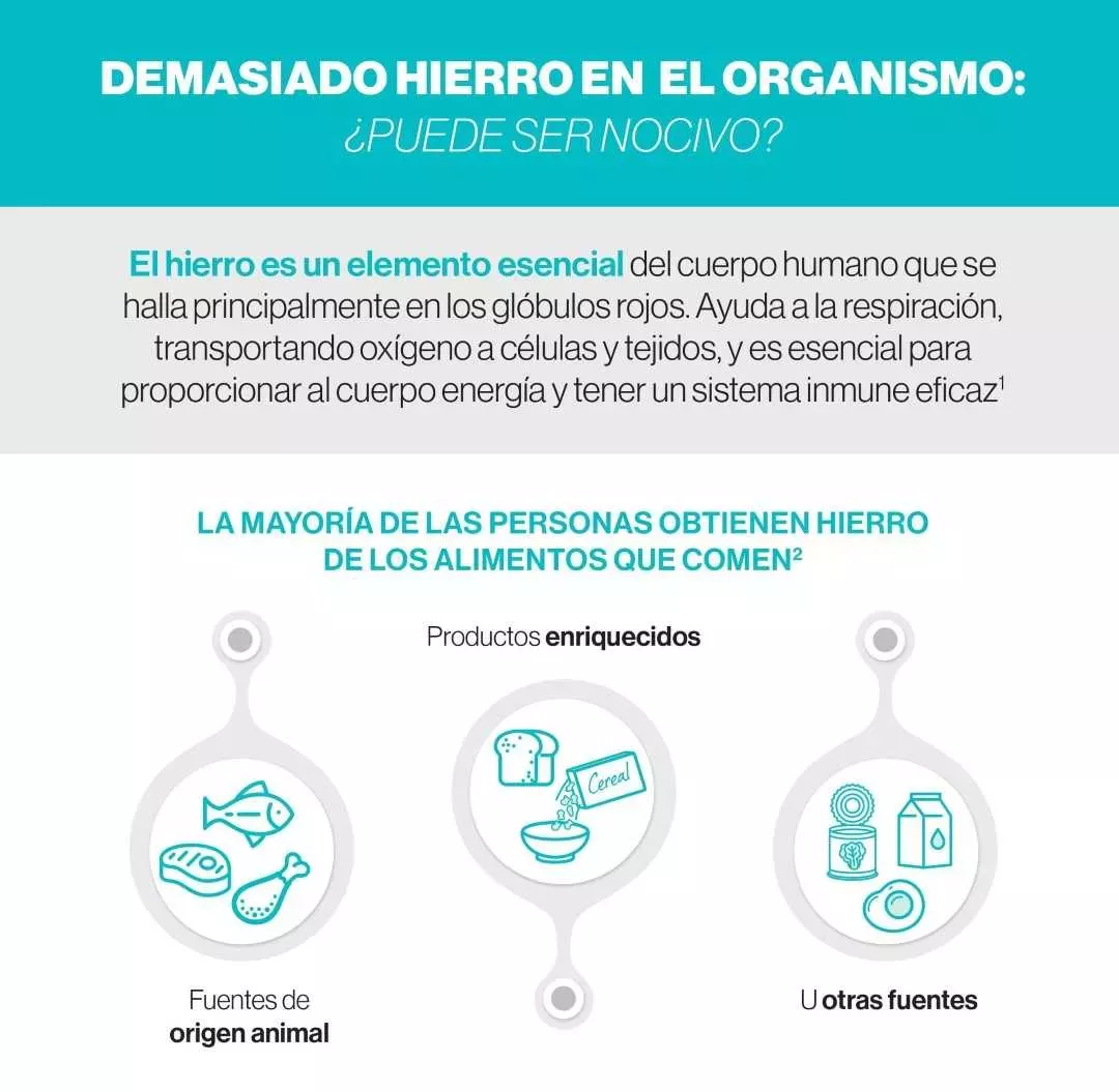 Infografía 'Demasiado hierro en el organismo'