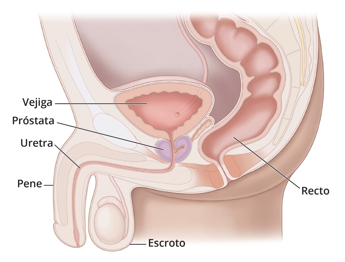 Infografía de tacto rectal