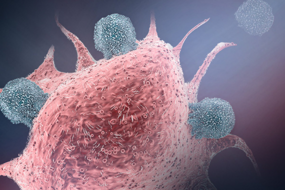 Cancer T Cell