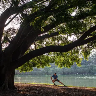 Περιβαλλοντική Βιωσιμότητα
