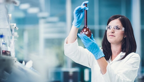 Kutatás & Fejlesztés