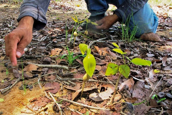 Környezettudatosság