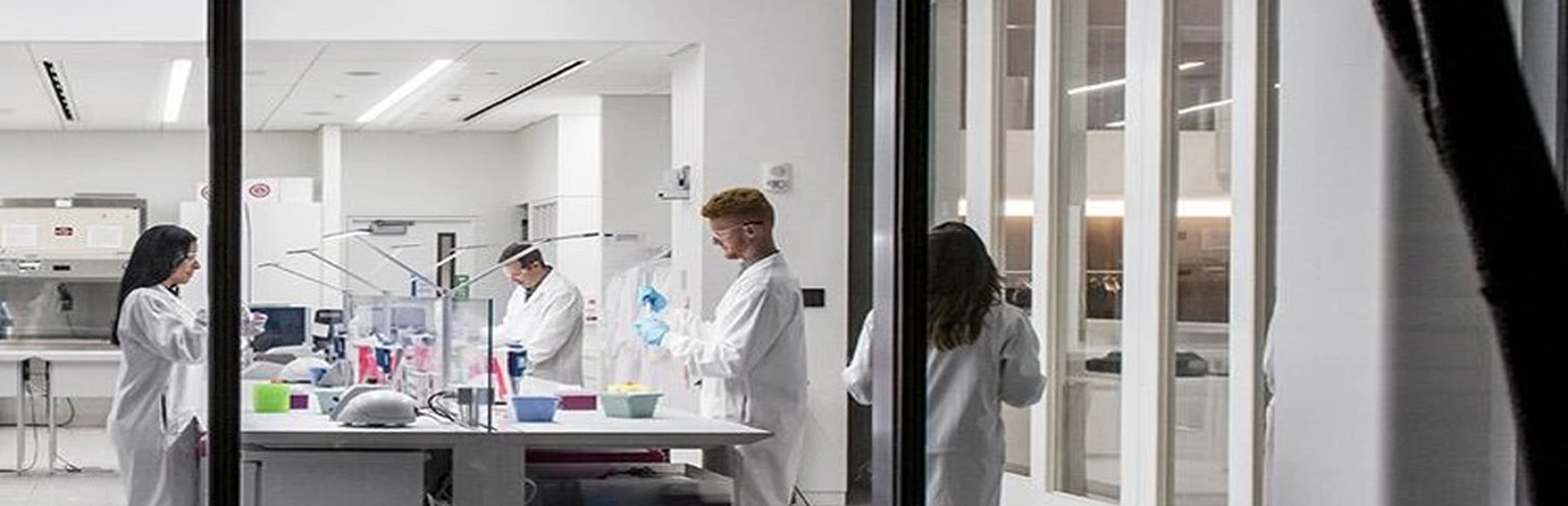 People working in a lab 
