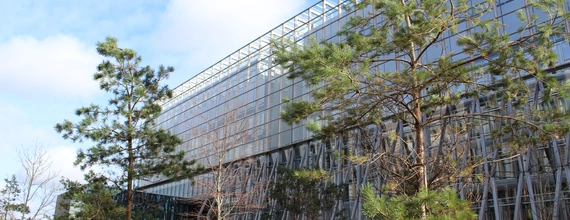 NGSC Elm Park Exterior