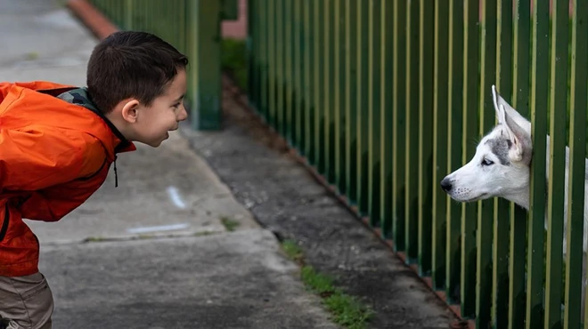 Image of child playing with dog