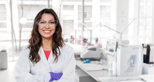 קריירה בנוברטיס