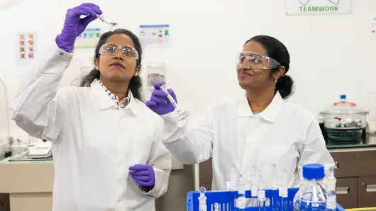 Benefits and Rewards - Recognition programs