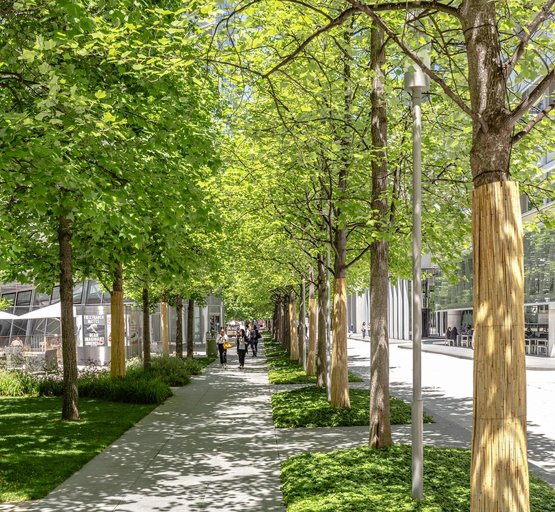 Sostenibilità ambientale