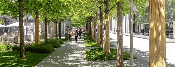 Sostenibilità ambientale