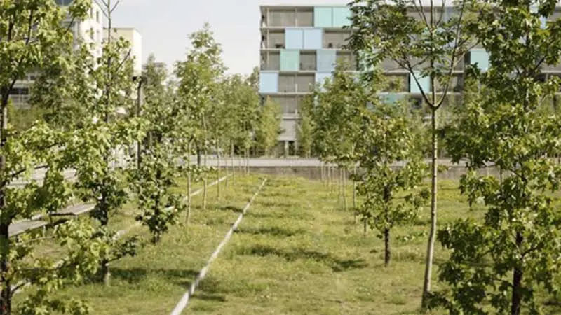 Sostenibilità ambientale