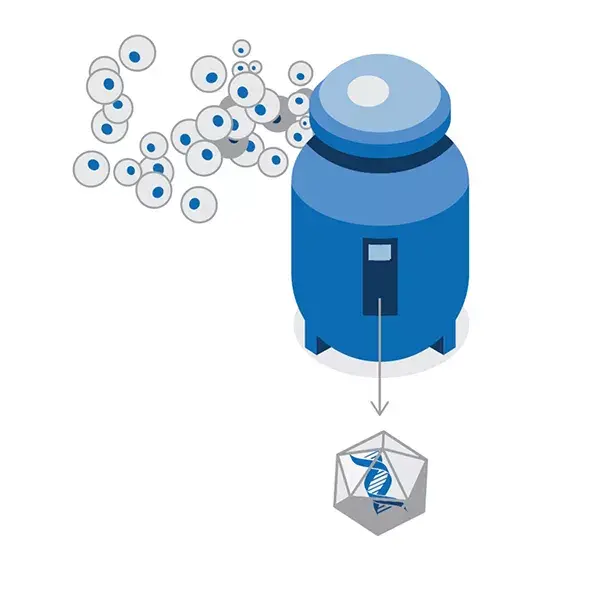 manufacturing-step-2-image