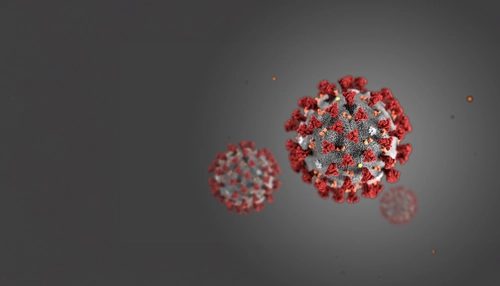 코로나바이러스감염증-19 (COVID-19) 업데이트