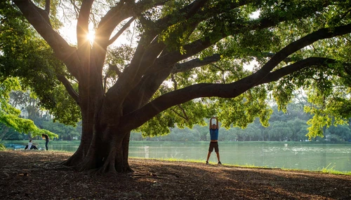 환경, 사회 및 가브넌스