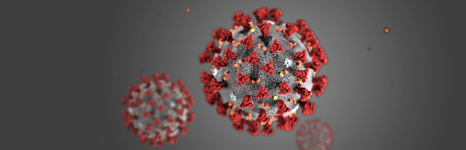 Coronavirus illustration