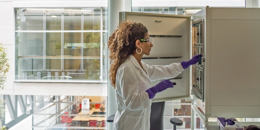 Q2_HP Hero image-edited