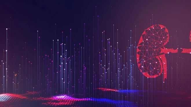 data digital transplanted kidneys image
