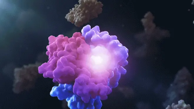 분자 접착제는 단백질을 서로 결합시킵니다.  이미지 제작자: 마크 마자이티스(Mark Mazaitis), 수정자: 퍼델러스 아뉴벡(Fidelis Onwubueke)