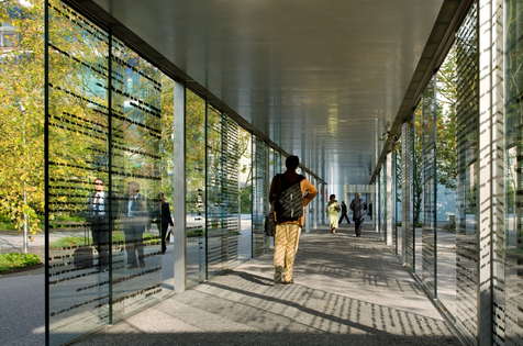 Programas de Atracción de Talento