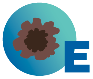 Endring