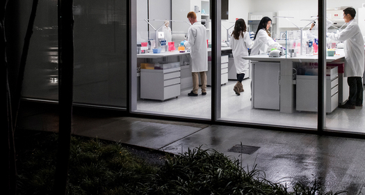 Mennesker i laboratorie