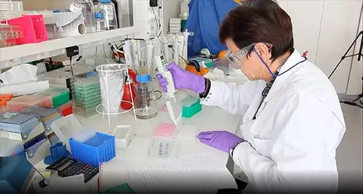 A scientist with a pipette