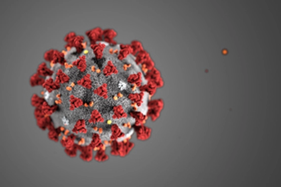 Coronavirus Illustration