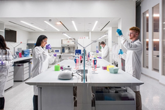 Scientists Working in Laboratory