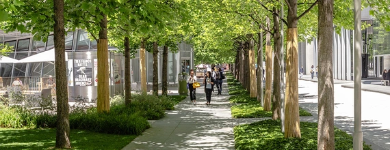 Zrównoważony rozwój środowiska