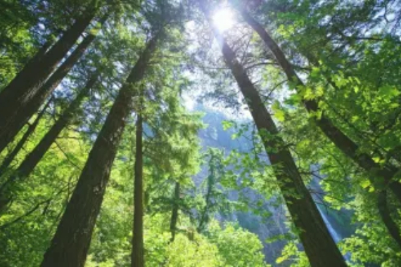 Sustentabilidade