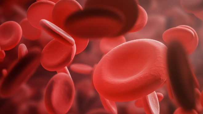 Neoplasias Mieloproliferativas: a importância da avaliação e monitorização dos sintomas