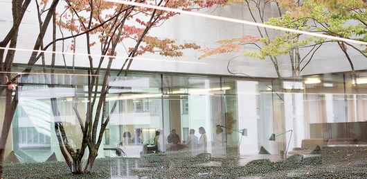 Echipa de leadership