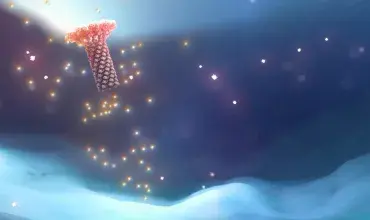 Imagine proces inflamator