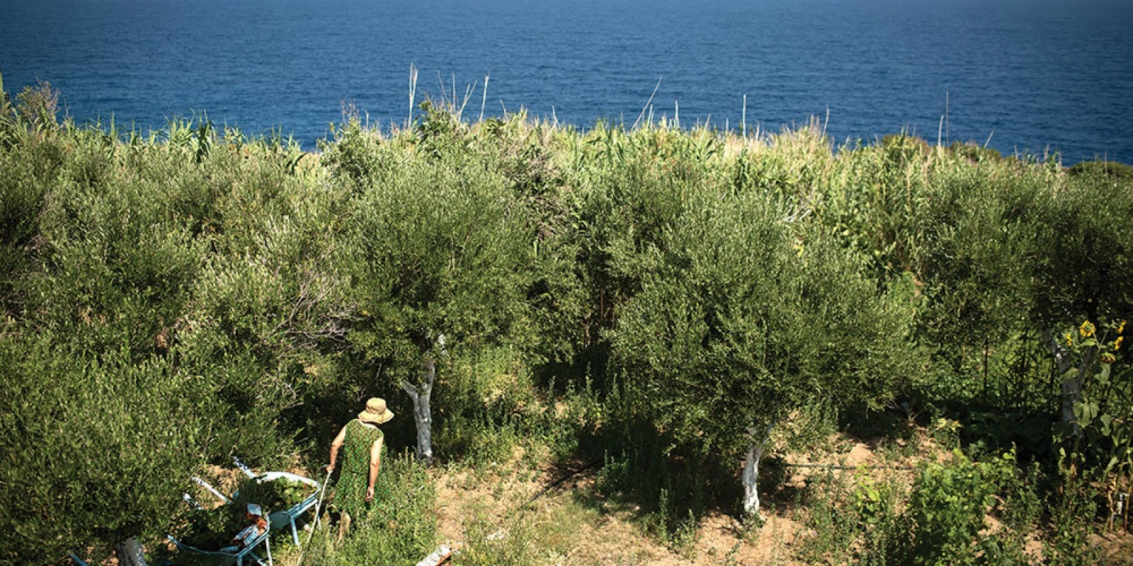 Responsabilitate corporațională și de mediu