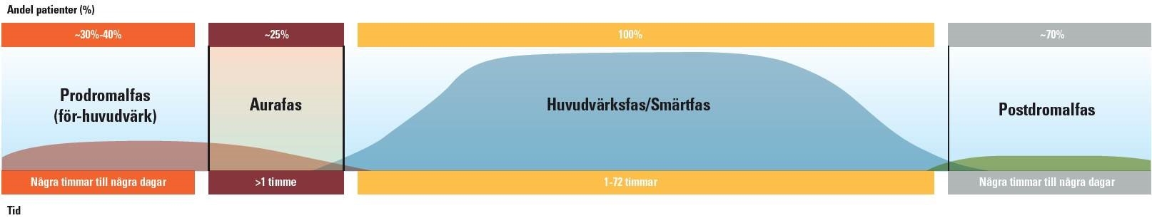 Tabell som visar olika faser vid migrän, prodromalfas, autafas, huvudvärksfas och postdromalfas. Illustration.