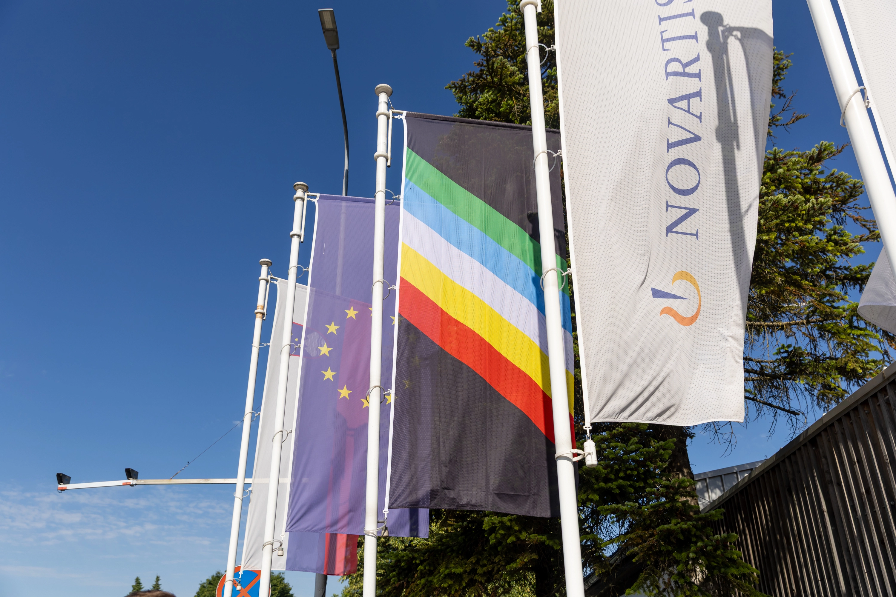 Pride flag of People with Disabilities at Novartis in Mengeš