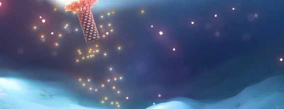 Inflammation could fan the flames of cancer