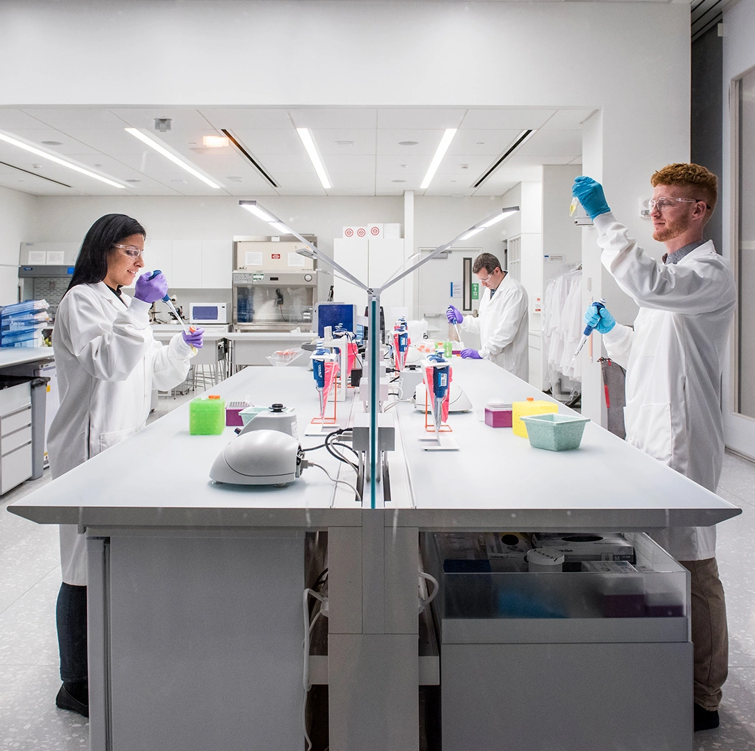 Laboratory in Novartis Menges site