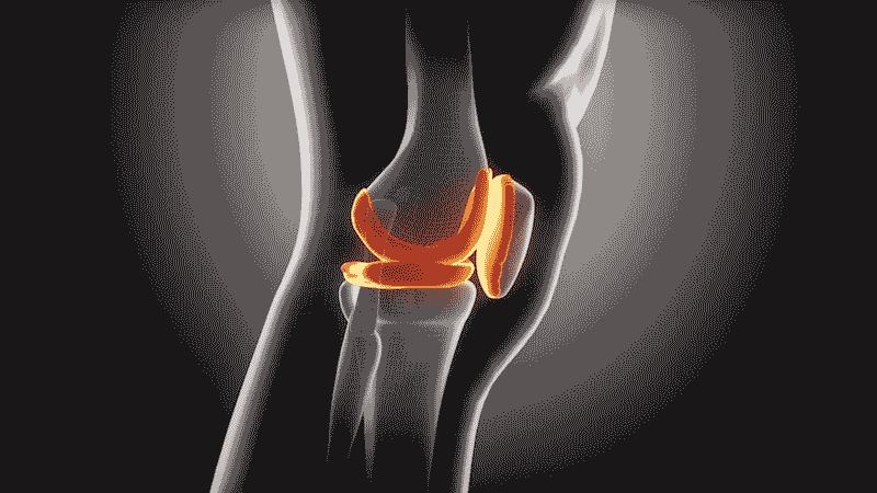 Cartilage acts as a protective cushion, enabling knee joints to move smoothly.