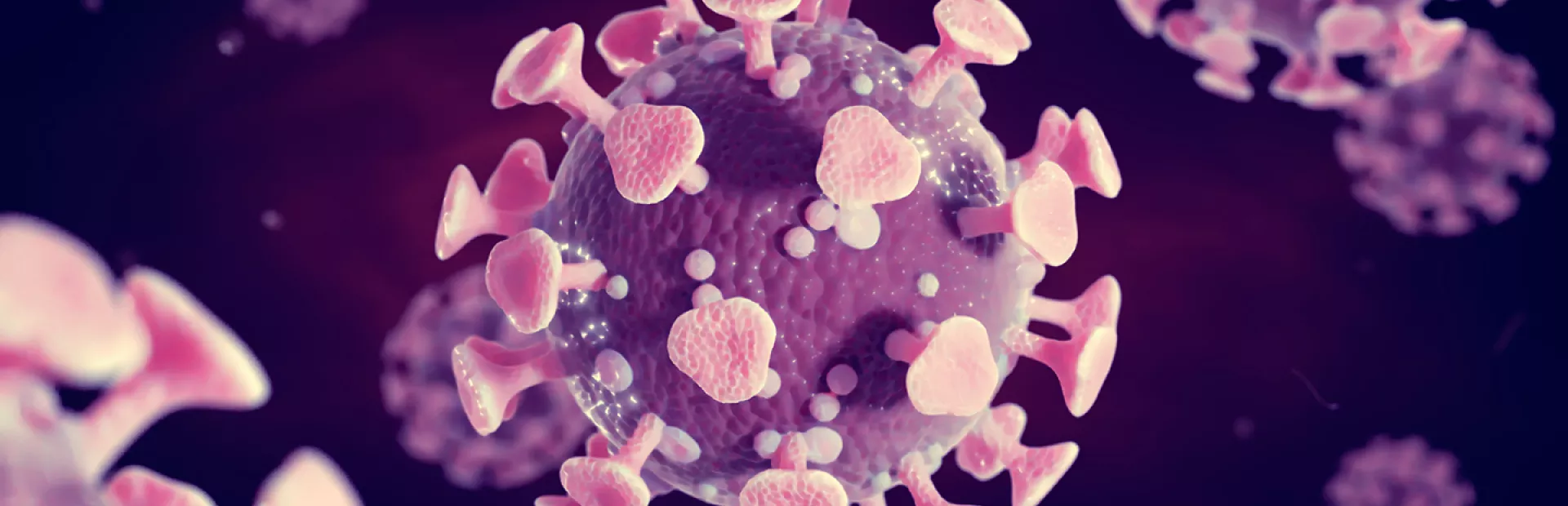 3D rendering of COVID-19, the novel coronavirus causing the pandemic