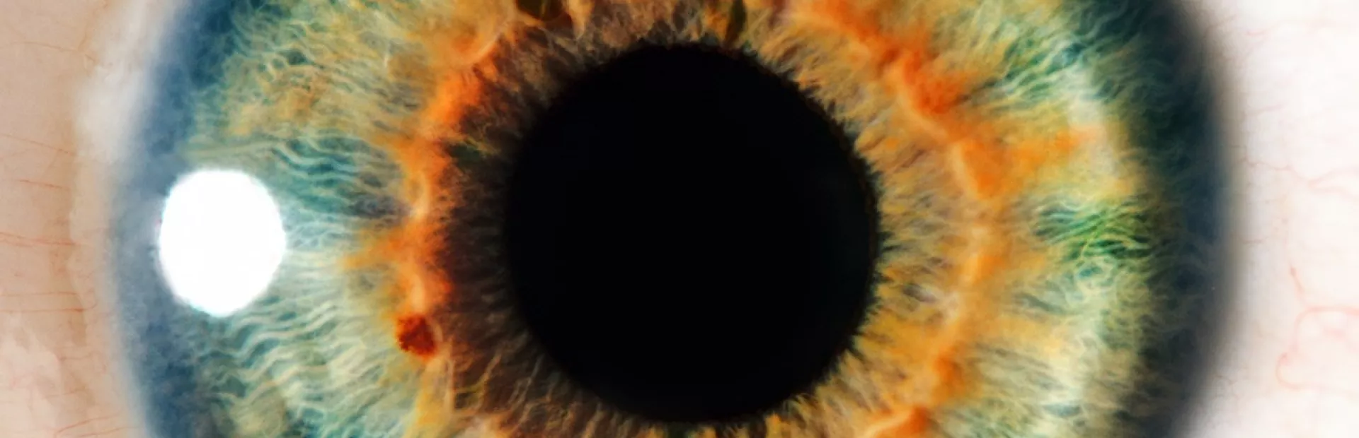 Human Eye Closeup