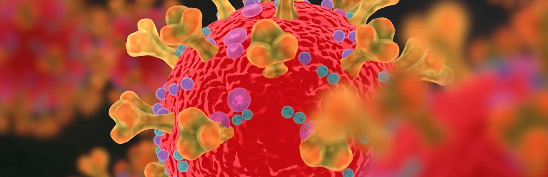 3D rendering of a COVID-19 virus
