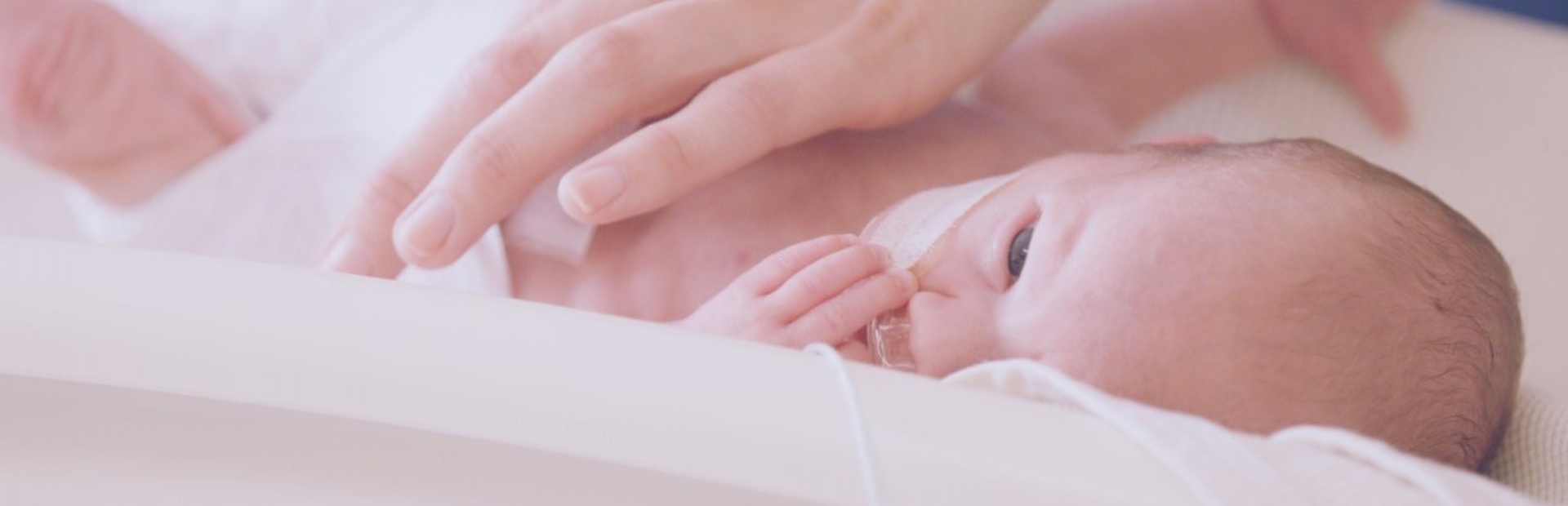 Preterm infant in the neonatology intensive care unit is checked regularly for retinopathy of prematurity (ROP)