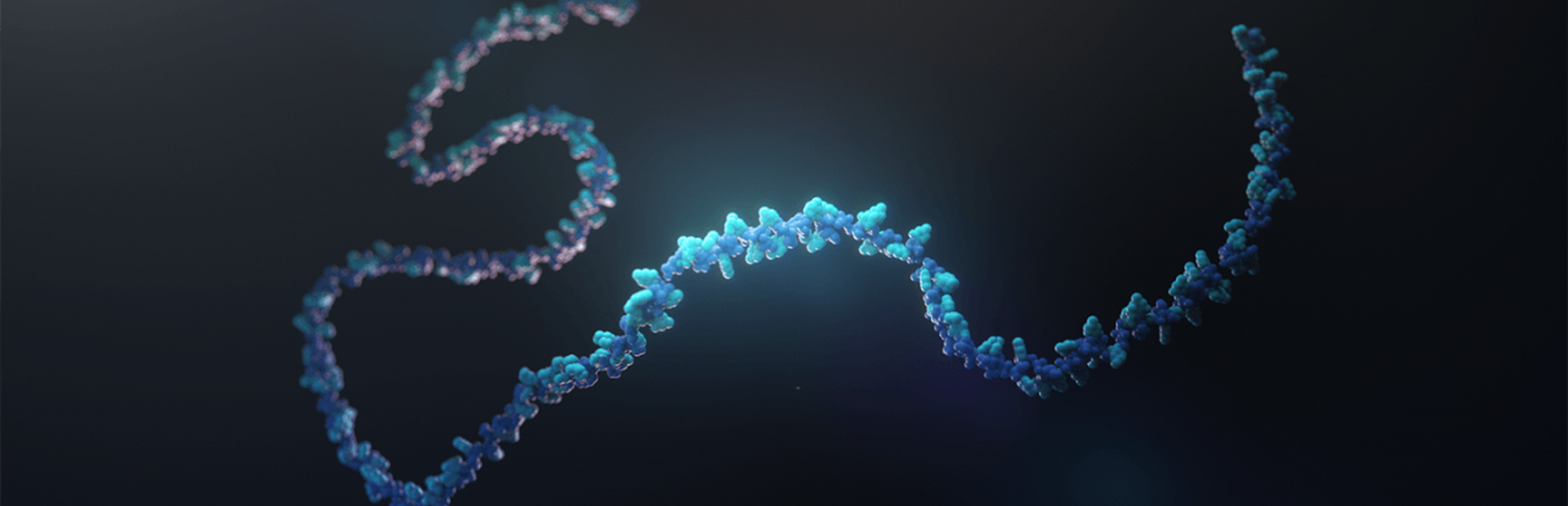RNA strand