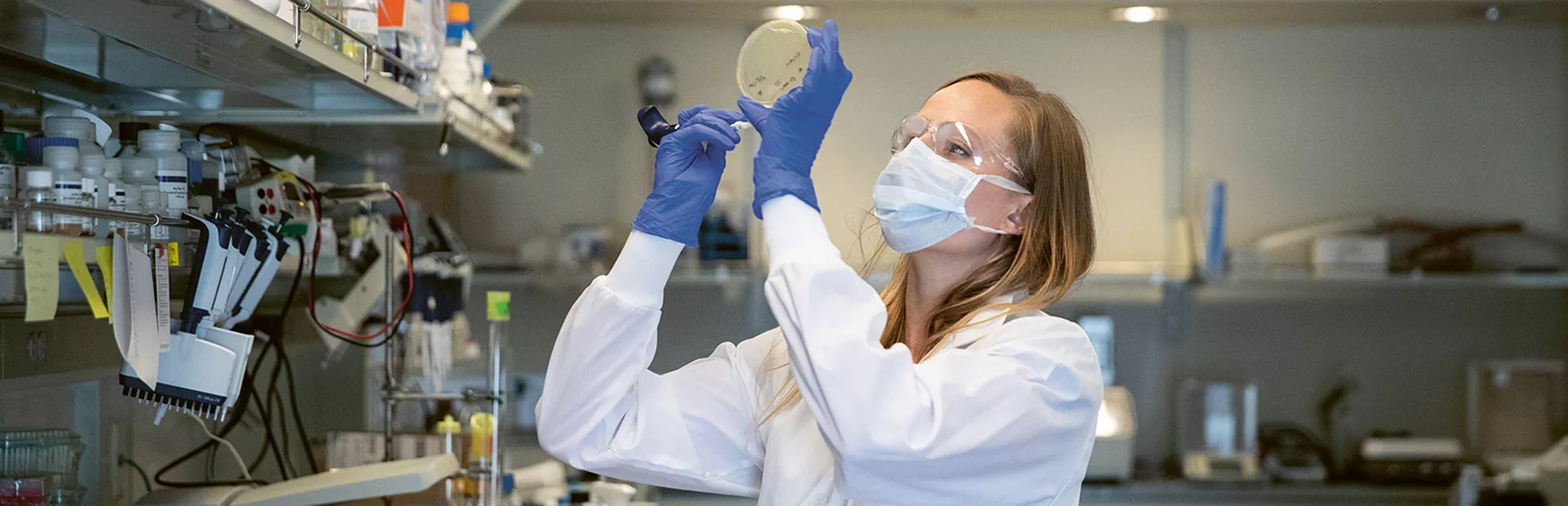 Stephanie Moquin, a post-doc in the Dengue team, works on expressing proteins in a specialized lab at the Novartis research campus in Emeryville.
