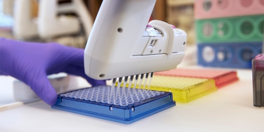 scientist pipetting