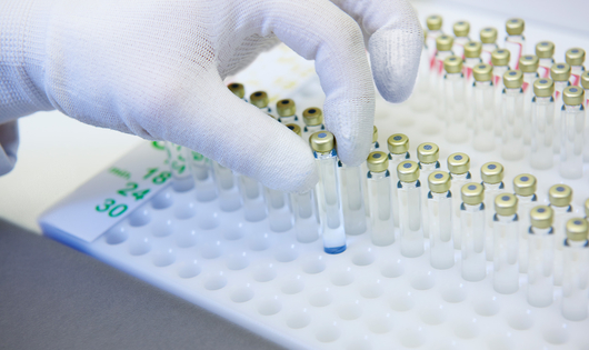Close up of a hand holding a lab sample