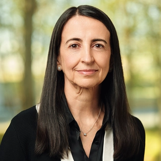 Ana de Pro Gonzalo, Board member