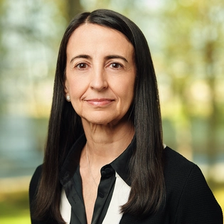 Ana de Pro Gonzalo, Board member