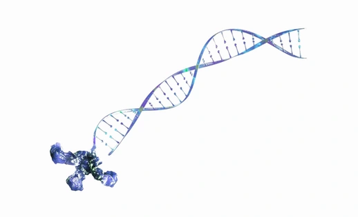 Illustration representing xRNA
